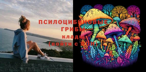 тгк Зеленодольск