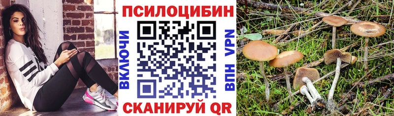 Галлюциногенные грибы Psilocybe  Купить где  Наволоки 