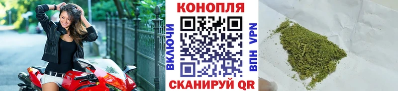 Бошки Шишки гибрид  Купить где  Наволоки 